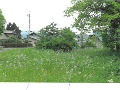 福島県大沼郡会津美里町 門田駅21分 農地 45万円の競売物件 #5