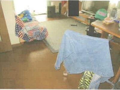神奈川県足柄上郡山北町 東山北駅16分 戸建て 361万円の競売物件 #2