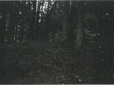 (値下げ) 岐阜県高山市 土地 147万円の競売物件 #5