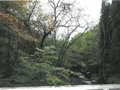 (値下げ) 岐阜県高山市 土地 147万円の競売物件 #6