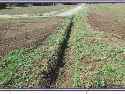 (値下げ) 山梨県南都留郡山中湖村 農地 9万円の競売物件 #13