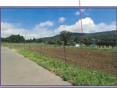 (値下げ) 山梨県南都留郡山中湖村 農地 9万円の競売物件 #4