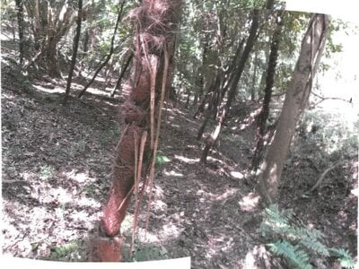 (値下げ) 香川県小豆郡土庄町 土地 9万円の競売物件 #1
