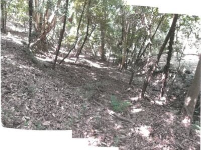 (値下げ) 香川県小豆郡土庄町 土地 9万円の競売物件 #2
