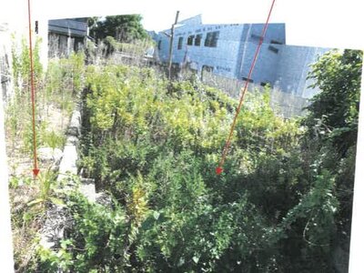 香川県東かがわ市 丹生駅3分 土地 94万円の競売物件 #8