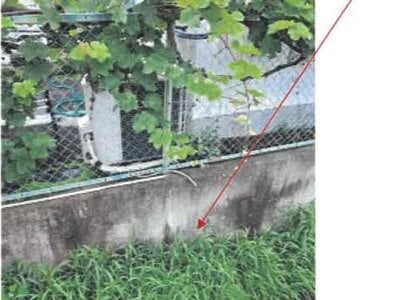 香川県高松市 岡本駅13分 戸建て 821万円の競売物件 #26