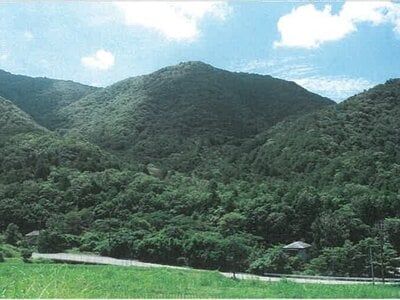 兵庫県西脇市 黒田庄駅 土地 67万円の競売物件 #1