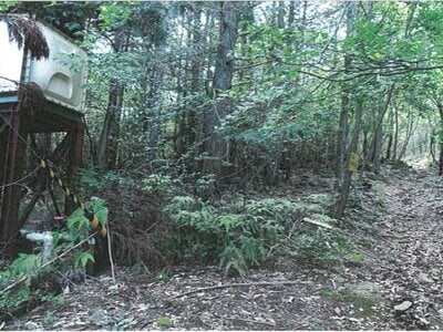 兵庫県西脇市 黒田庄駅 土地 67万円の競売物件 #3
