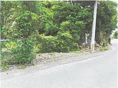 埼玉県坂戸市 一本松駅22分 農地 121万円の競売物件 #2