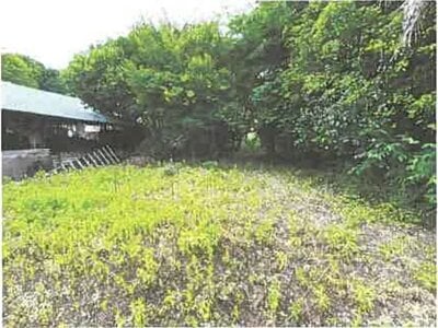 埼玉県坂戸市 一本松駅22分 農地 121万円の競売物件 #3
