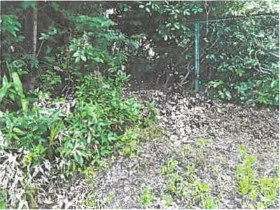 埼玉県坂戸市 一本松駅22分 農地 121万円の競売物件 #7