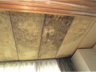 京都府宇治市 宇治駅13分 戸建て 3億2,220万円の競売物件 #30