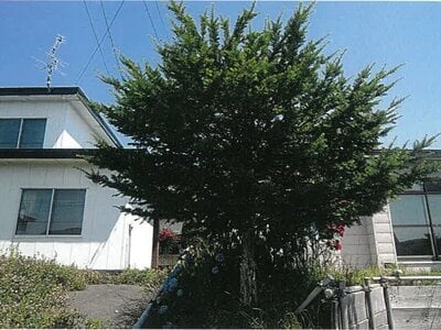 北海道釧路市 武佐駅 戸建て 129万円の競売物件 #16