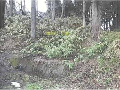 秋田県鹿角市 鹿角花輪駅19分 戸建て 604万円の競売物件 #17