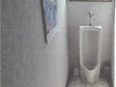 秋田県大館市 早口駅 戸建て 284万円の競売物件 #17