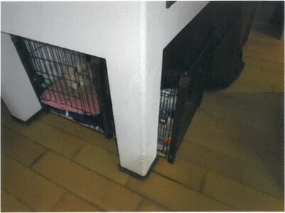 富山県中新川郡立山町 釜ヶ淵駅12分 戸建て 1,134万円の競売物件 #11