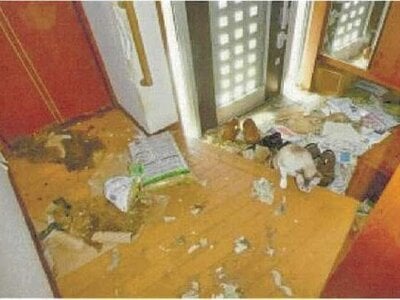 愛媛県松山市 福音寺駅12分 戸建て 975万円の競売物件 #4