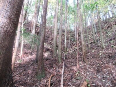 (値下げ) 茨城県久慈郡大子町 袋田駅 土地 34万円の国税庁公売物件 #1