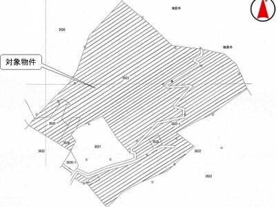 (値下げ) 茨城県久慈郡大子町 袋田駅 土地 34万円の国税庁公売物件 #3