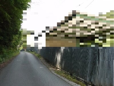 三重県度会郡大紀町 川添駅26分 農地 52万円の国税庁公売物件 #2