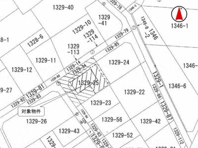 埼玉県春日部市 南桜井駅13分 戸建て 55万円の国税庁公売物件 #3