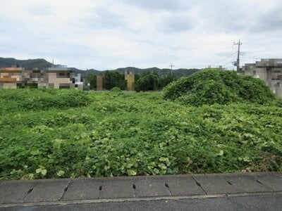 (値下げ) 栃木県足利市 あしかがフラワーパーク駅25分 農地 269万円の国税庁公売物件 #1