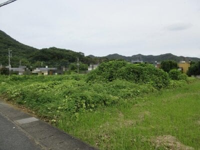 (値下げ) 栃木県足利市 あしかがフラワーパーク駅25分 農地 269万円の国税庁公売物件 #2