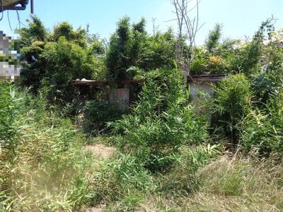 群馬県前橋市 新前橋駅10分 戸建て 476万円の国税庁公売物件 #2