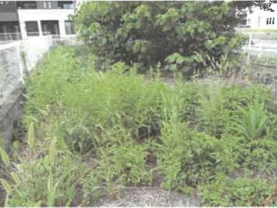 埼玉県加須市 加須駅 戸建て 1,281万円の競売物件 #14