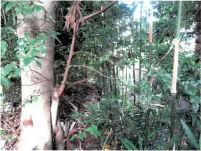 埼玉県幸手市 幸手駅 戸建て 867万円の競売物件 #2