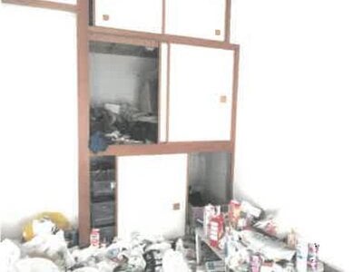 埼玉県幸手市 幸手駅4分 マンション「グリーンミユキ幸手」713万円の競売物件 #4