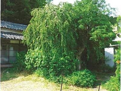 静岡県三島市 長泉なめり駅20分 戸建て 1,316万円の競売物件 #6