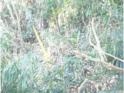 静岡県伊東市 伊東駅12分 戸建て 1,098万円の競売物件 #10