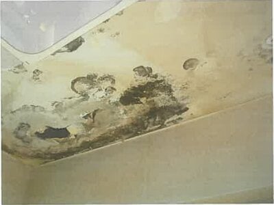 静岡県伊東市 伊東駅12分 戸建て 1,098万円の競売物件 #35