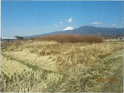 (値下げ) 静岡県沼津市 片浜駅8分 農地 49万円の競売物件 #1