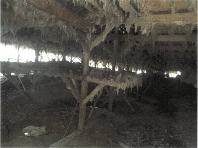 静岡県富士市 岳南富士岡駅22分 戸建て 2,230万円の競売物件 #18