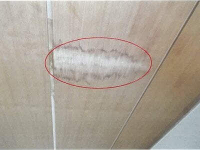 福岡県福岡市中央区 薬院大通駅1分 マンション「103大稲マンション」1,240万円の競売物件 #6