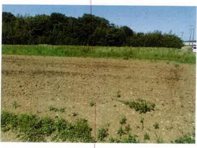 愛知県田原市 農地 38万円の競売物件 #1