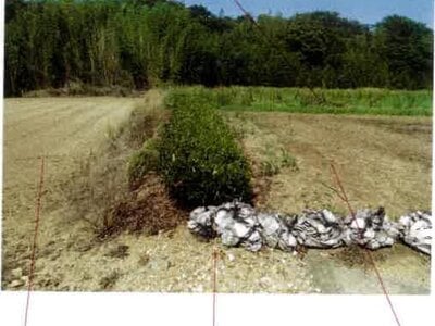 愛知県田原市 農地 38万円の競売物件 #2