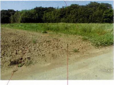 愛知県田原市 農地 38万円の競売物件 #3