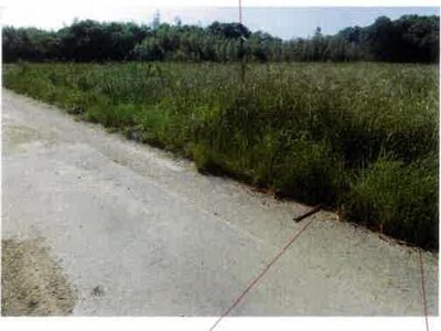 愛知県田原市 農地 38万円の競売物件 #4