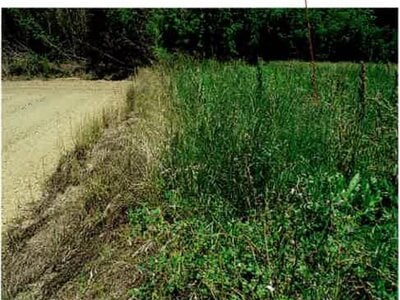 愛知県田原市 農地 38万円の競売物件 #6