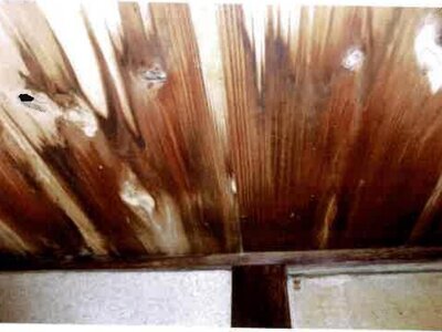 愛知県田原市 戸建て 228万円の競売物件 #10