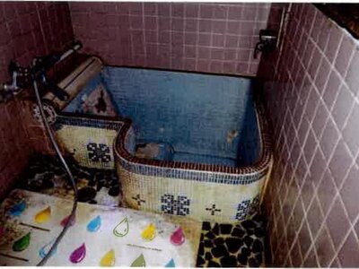 愛知県田原市 戸建て 228万円の競売物件 #8