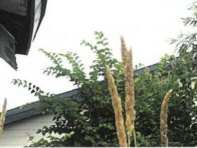 北海道北見市 西北見駅 戸建て 470万円の競売物件 #15