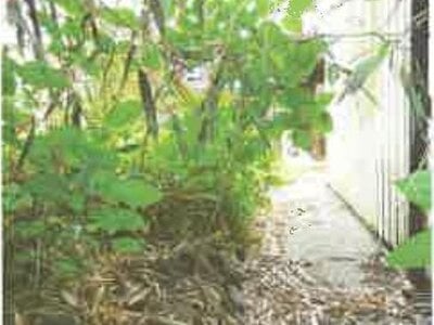 滋賀県愛知郡愛荘町 愛知川駅 戸建て 413万円の競売物件 #6