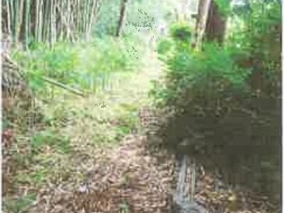 滋賀県愛知郡愛荘町 愛知川駅 戸建て 413万円の競売物件 #9