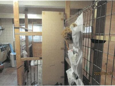 大阪府大阪市生野区 小路駅3分 戸建て 510万円の競売物件 #9