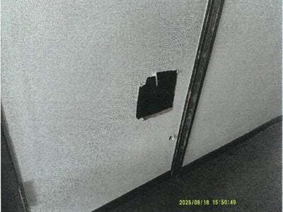 大阪府東大阪市 石切駅15分 戸建て 300万円の競売物件 #11