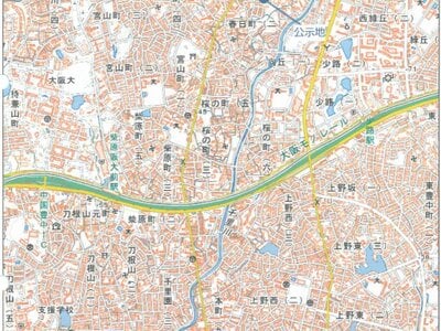 大阪府豊中市 桜井駅11分 戸建て 2,797万円の競売物件 #1